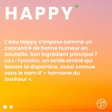 Charger l'image dans la galerie, PACK 12 DRINK WATERS HAPPY - Drink Waters
